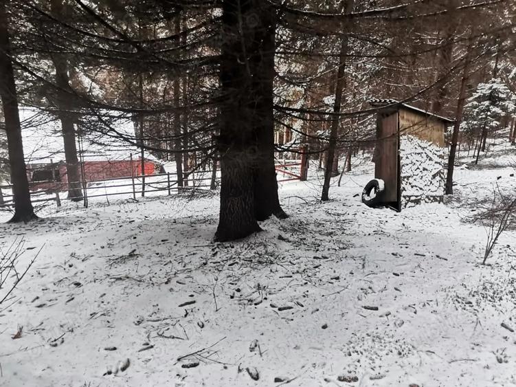 Teren de 1800 mp, în Central