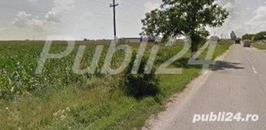 Teren de 8142 mp, în Vidra
