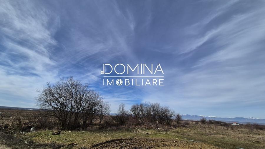 Teren Construcții intravilan de 5000 mp, în Dănești