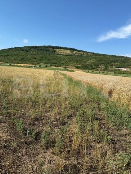 Teren agricol intravilan de 2000 mp, în Șoimuș
