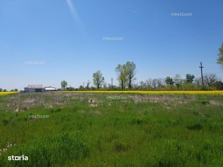 Teren 500 mp aproape de Bucuresti Berceni Ilfov Constructie imediata - 6