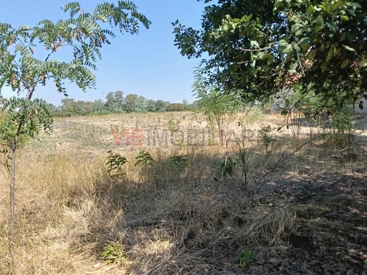 Teren Construcții intravilan de 7200 mp, în Chevereșu Mare