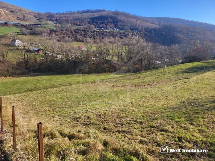 Teren Construcții intravilan de 6179 mp, în Tăuți