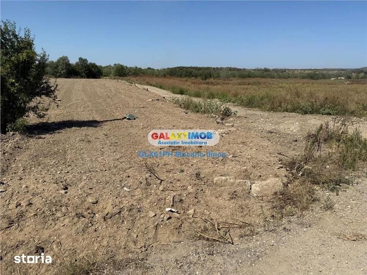 Teren de 2960 mp, în Lipănești