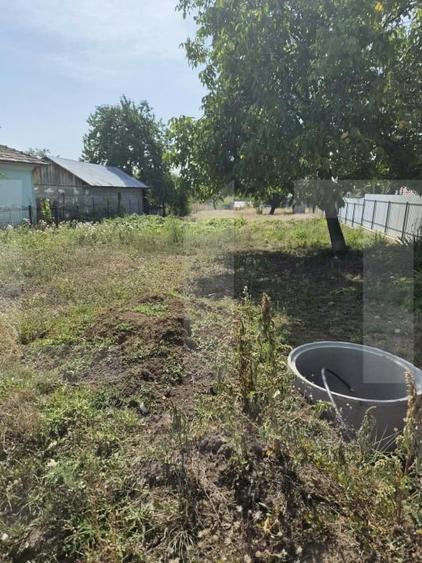 Teren Construcții intravilan de 1200 mp, în Guranda