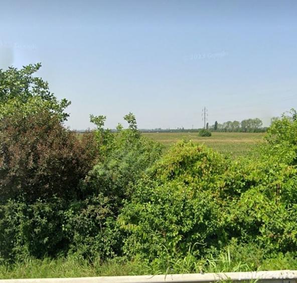 Teren de 5000 mp, în Berceni