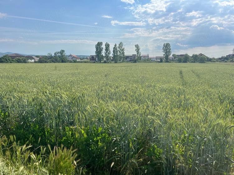 Teren de 1450 mp, în Pianu