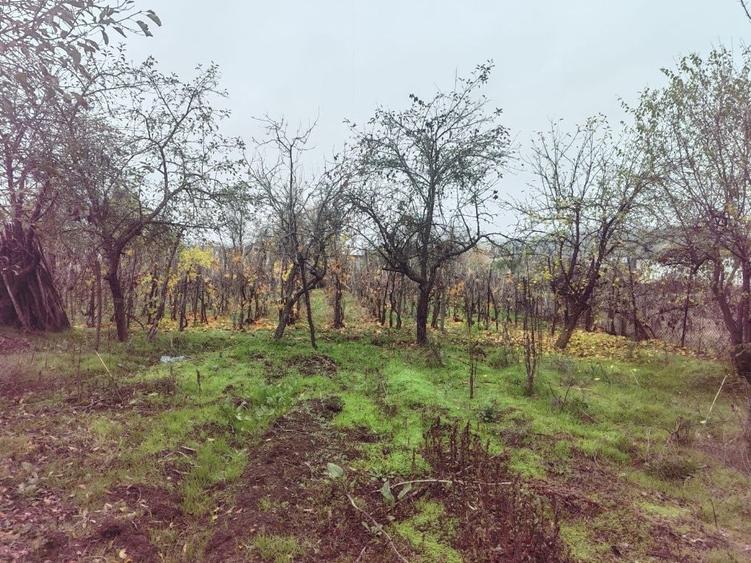 Casă cu 4 camere în Orlești