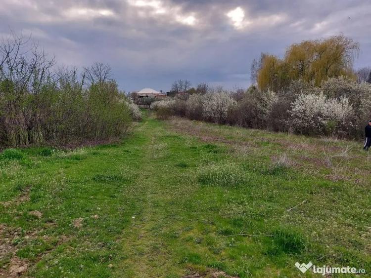 Teren Topoloveni - 3670 mp - langa padure, aproape de Cen... - 1