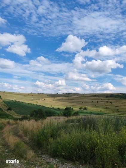 Teren de 4300 mp, în Mihai Viteazu