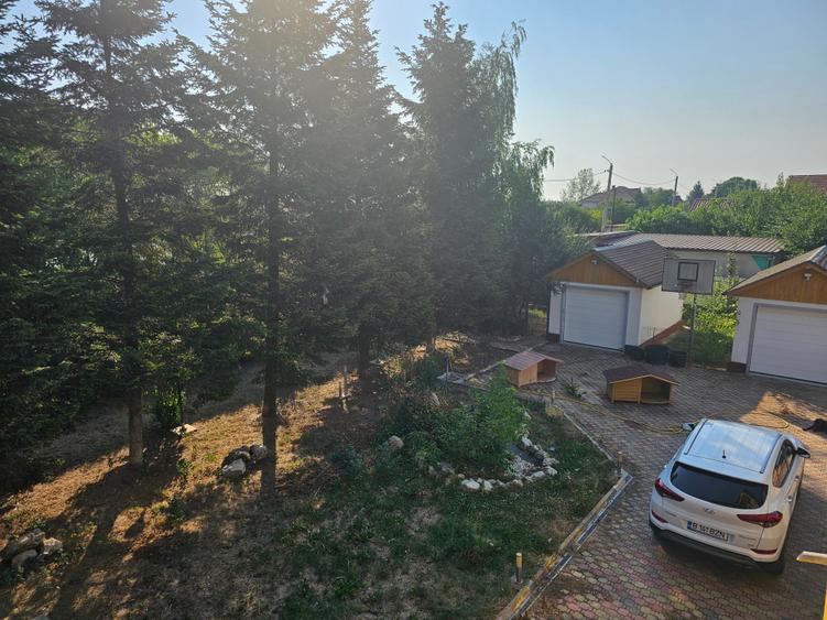 Casă individuală cu 8 camere cu Piscina în Frumușani