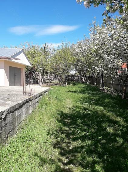 Teren de 1150 mp, în Central