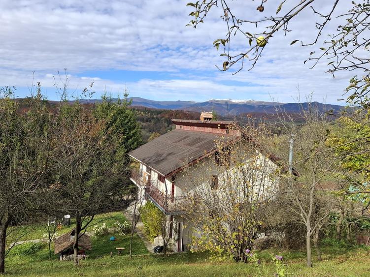 Vila Bughea de Jos - Campulung - 3