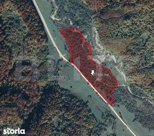 Teren 37.500 mp, Valea Zizinului - 1