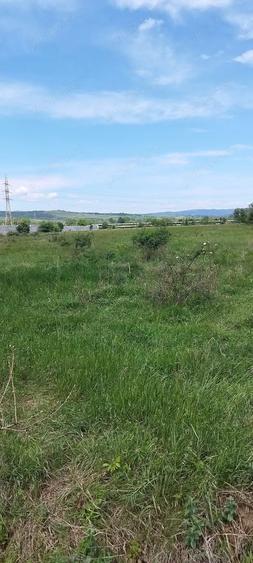 Inchiriez 10.000 mp Halinga - 2