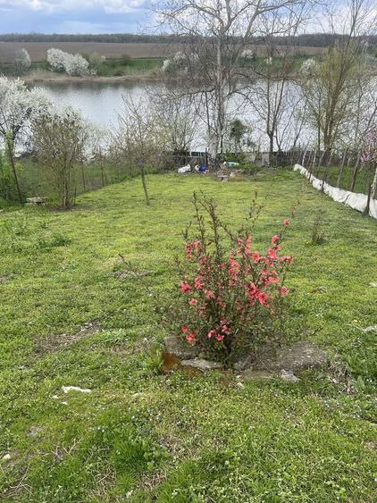 Vand proprietate Casa - 4