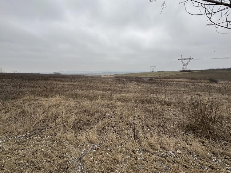 Bogdan voda, Bacau - 2