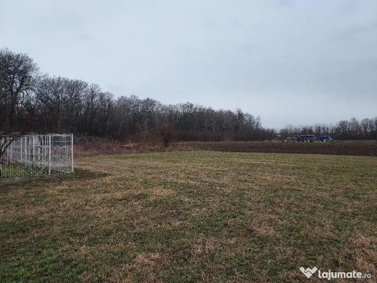 Teren de vanzare Batesti Prahova (langa padure, lac de pescuit) 2793m2 - 3