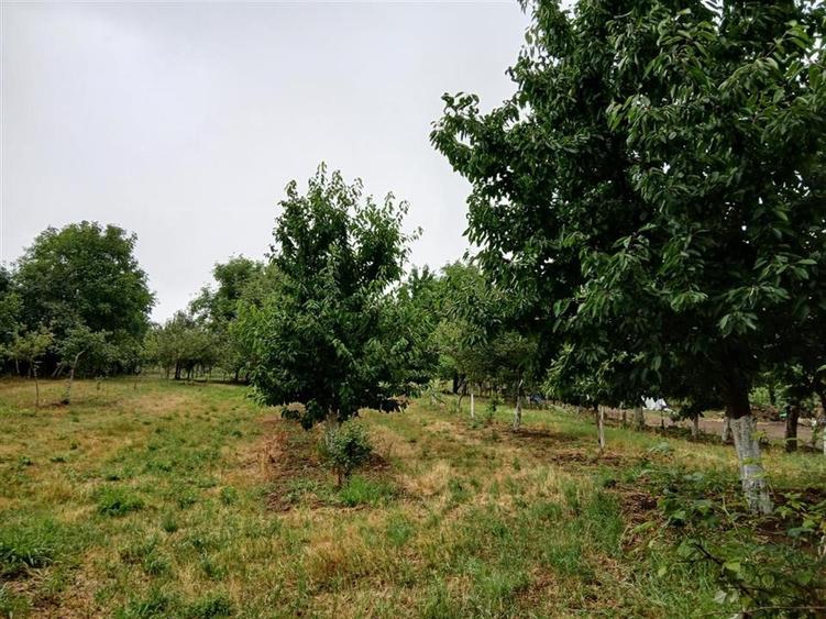 Reco Casa si teren in Budureasa, langa Statiunea Stana de Vale - 6