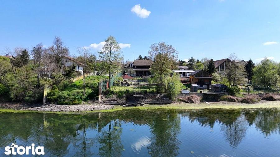 Vila pe lac cu vedere la padure - Pasarea - Branesti - 1