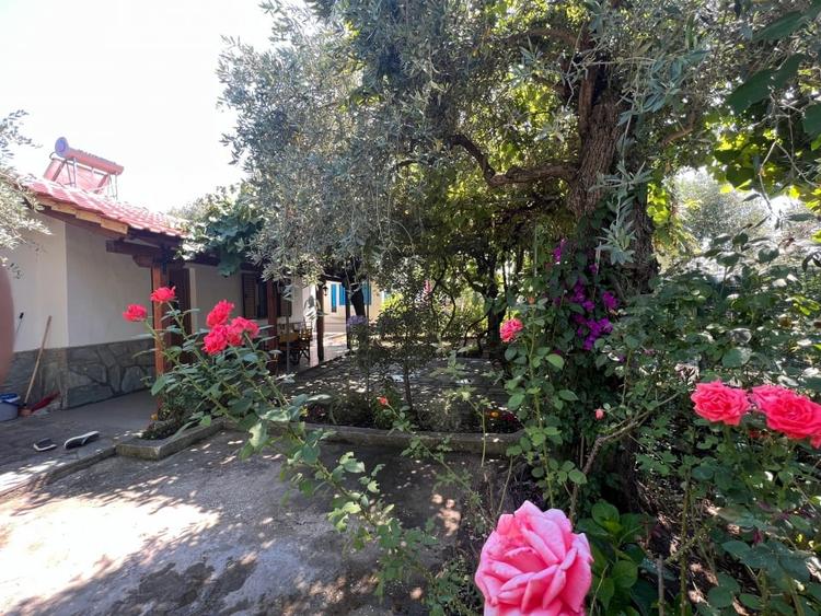 Ramdament 9.5% Afacere la cheie / Casa de vacanta Thasos Grecia la 50m de plaja - 3