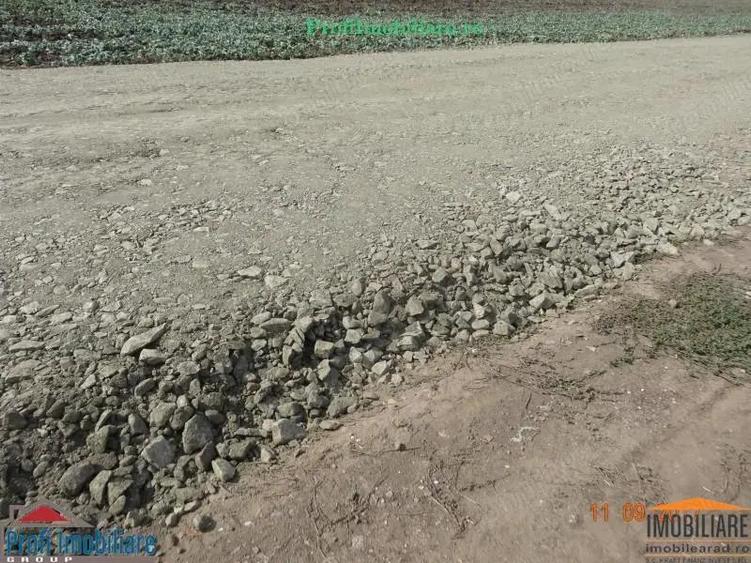 Vindem locuri de casa 540 sau 640mp in Zimand Cuz 7 km de Arad - 9