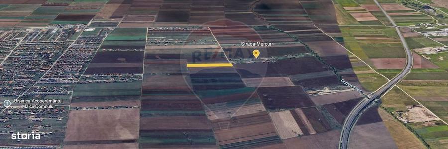 Teren Investitie 6300mp Sacele - 10m de Utilitati in Raza Soarelui - 7