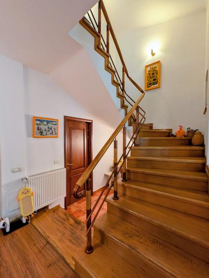 Jiului-Coralilor-Damaroaia,eleganta,robusta,garaj,curte intima,vegetatie matura - 33