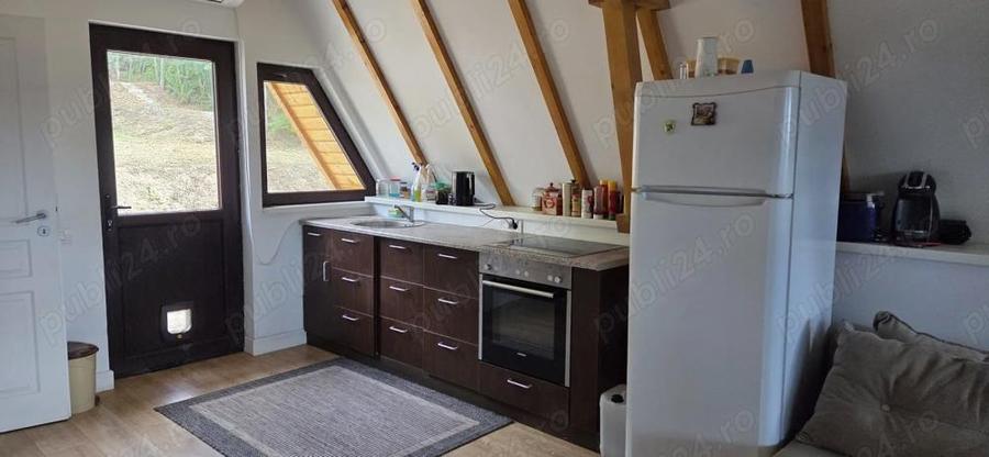 Vand casa cu teren 2500mp - 7