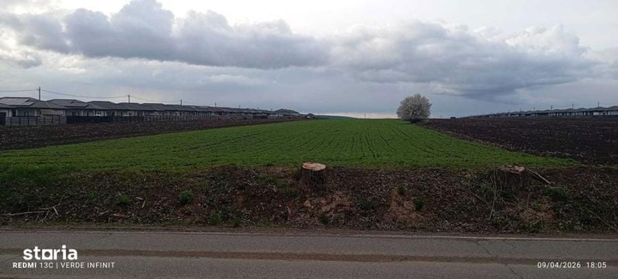 Teren Intravilan, Vorovesti 1 ha - 5