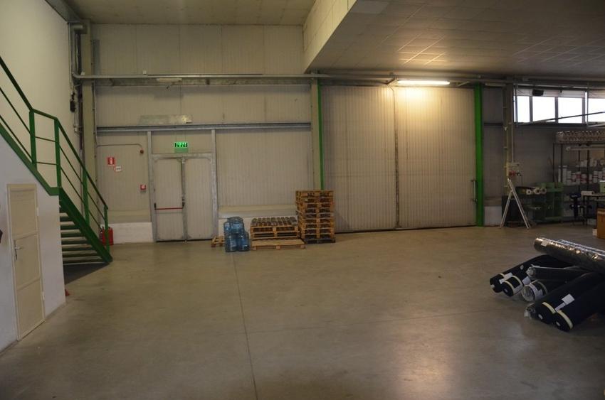 Hala Calea Lugojului 1400 mp 6000 euro - 3