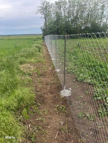 Vand teren intravilan Chiselet Calarasi - 7