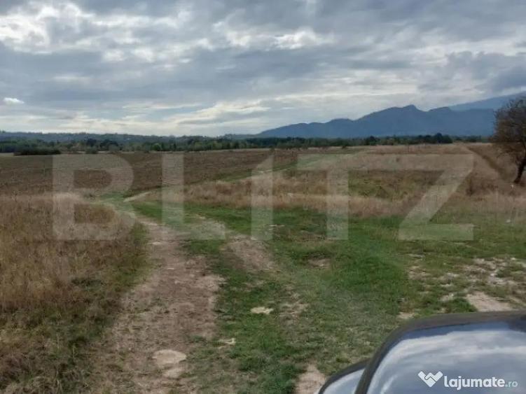 Teren de vanzare in Rasnov zona Glejerie, 10.000 mp - 3