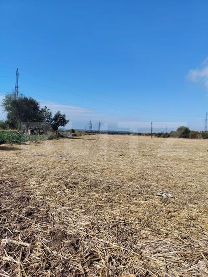 Teren Isalnita intravilan, 2500 mp, toate utilitatile - 3