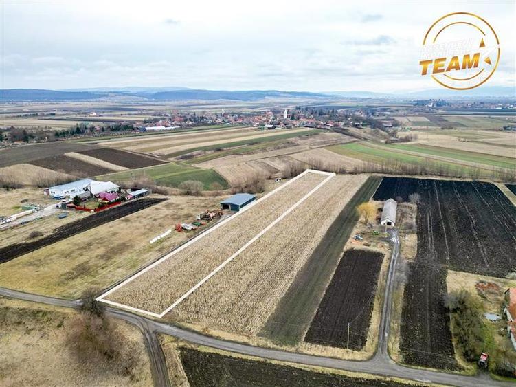 Film! Teren de 5.800 mp, Dobolii de Jos, Covasna - 1