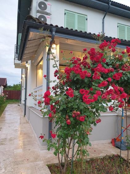 Snagov/Silistea Lac  Doar calitate / liniște. Doar pentru cine știe ce caută. - 2