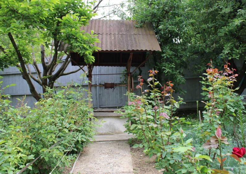 Casa batraneasca + teren în Parava, jud. Bacau - 6
