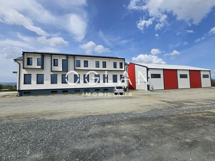 Cladire administrativa+hala+10.759 mp teren, Industrial Vest - 2