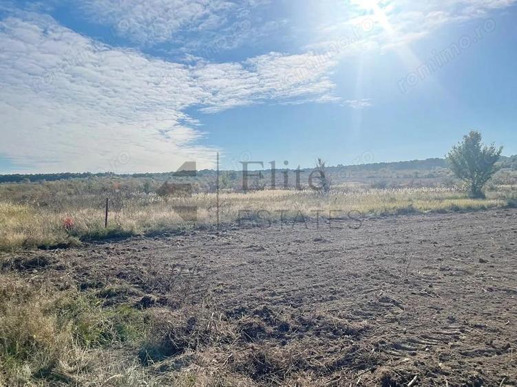 Teren intravilan de vanzare in Cihei - 3