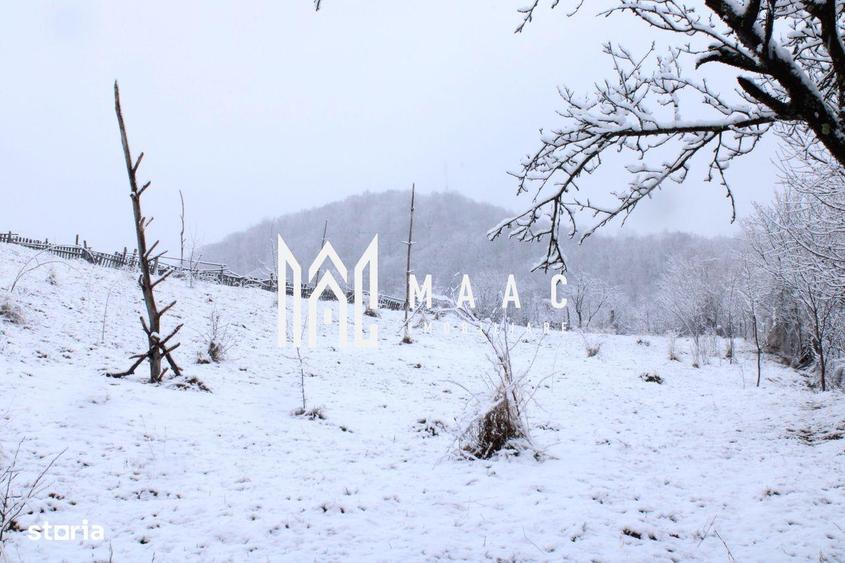 Teren cu izvor de apa minerala Dange?ti, Punctul Valea Mare - 5