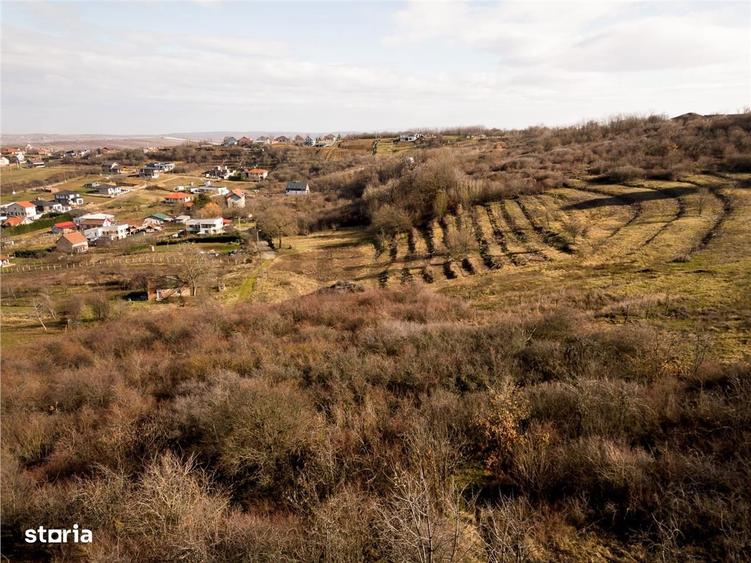 RECO Teren intravilan in zona Oncea - 3