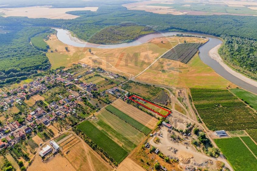 Ferma de cai andaluzi de vanzare - Zadareni - 12