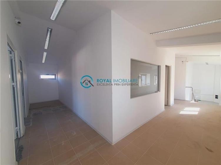 Royal Imobiliare - Inchiriere Spatiu Industrial zona Vest - 7