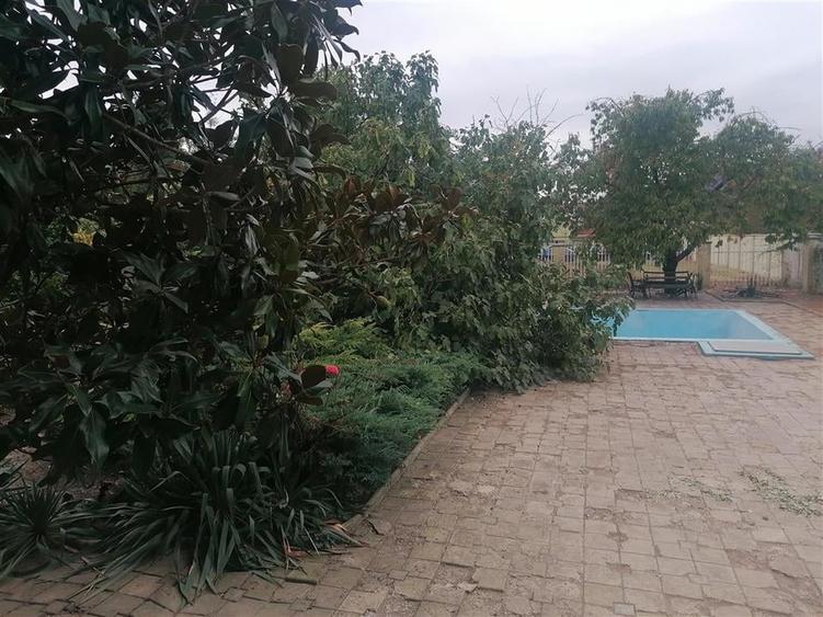 Vila Individuala cu Pisicna 600 MP Teren Calea Girocului - 15