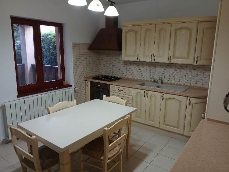 Inchiriere Vila individuala Berceni-Giurgiului - 38