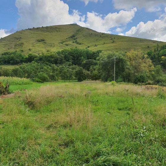 Vand casa la tara - 3