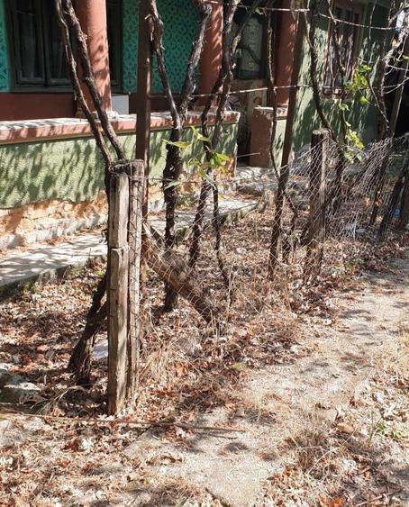 Vand casa langa Bucuresti - 6