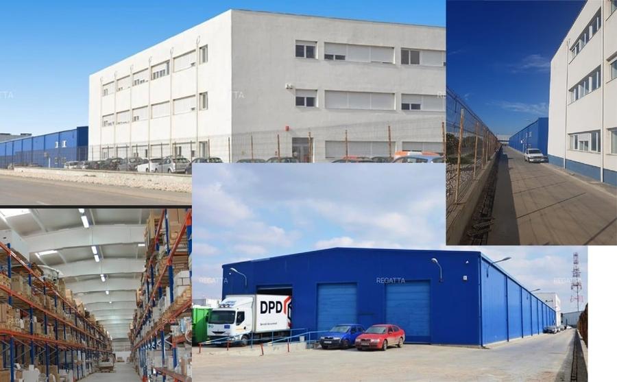 HALĂ LOGISTICĂ + CLĂDIRE DE BIROURI (P+1 / opțional P+2) - 1