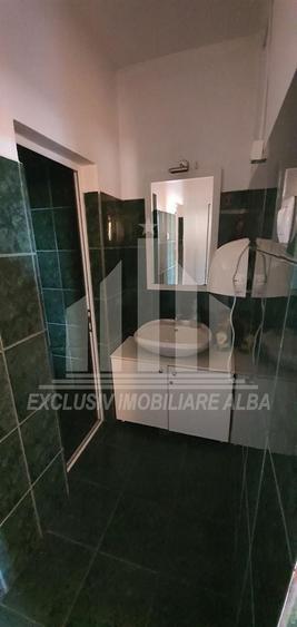 Pensiune de vanzare | 7 camere | 240 mp | Centru - 6