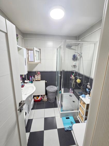 Voluntari, Andronache, vila P+1+M renovata, curte amenajata - 6